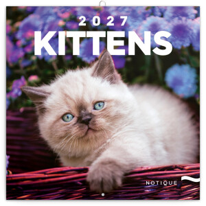 NOTIQUE Notizblock Kätzchen 2027, 30 x 30 cm - Reklamnepredmety