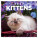 NOTIQUE Notizblock Kätzchen 2027, 30 x 30 cm - pgp-36312-z_tit - variant Pg PGP-36312-Z