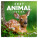 NOTIQUE Kalender Cubs 2027, 30 x 30 cm - pgp-36314-z_tit - variant Pg PGP-36314-Z