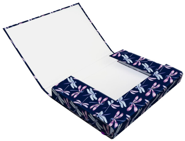Školský box s klopou A4 Dragonfly