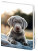 Notizbuch für Kinder - Pup