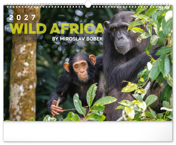 NOTIQUE Wandkalender Living Africa 2027, 48 x 33 cm