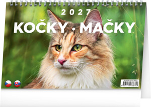 NOTIQUE Tischkalender Katzen – Katzen CZ/SK 2027, 23,1 x 14,5 cm - Reklamnepredmety