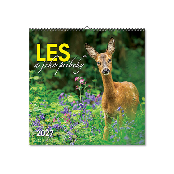 Wandkalender Der Wald und seine Geschichten 2027