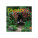 Wandkalender Gardens Square 2027