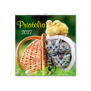 Wandkalender Freunde 2027 - Reklamnepredmety