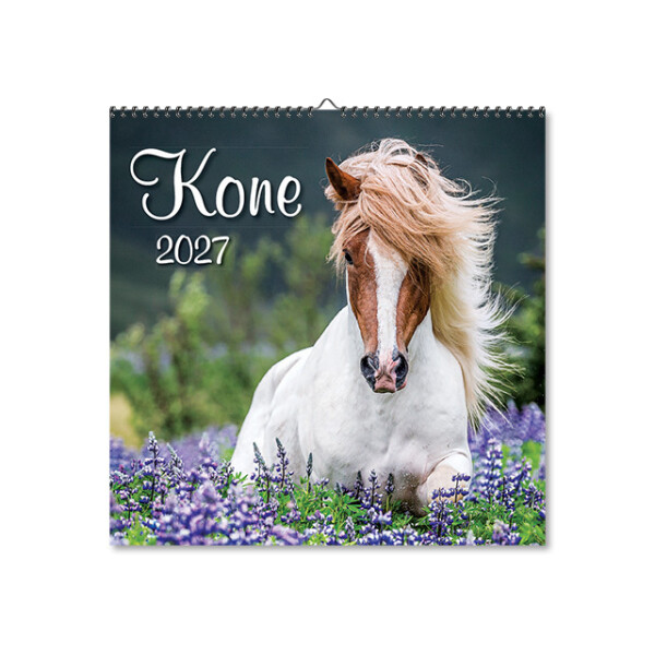 Wandkalender Pferde 2027