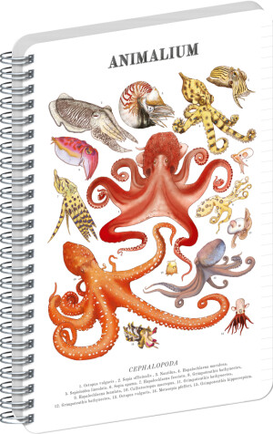 NOTIQUE Spiralnotizbuch Animalium – Kopffüßer, liniert, A4 - Reklamnepredmety