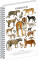 NOTIQUE Spiralnotizbuch Animalium – Katzen, kariert, A5