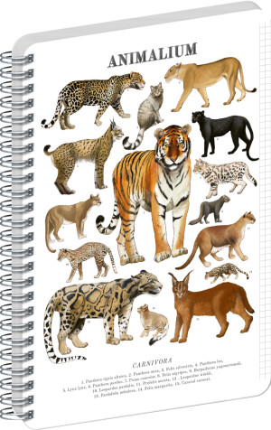 NOTIQUE Spiralnotizbuch Animalium – Katzen, kariert, A5 - Reklamnepredmety