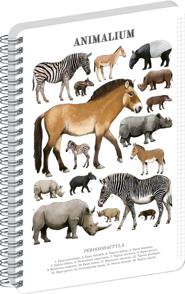 NOTIQUE Spiralnotizbuch Animalium – Paarhufer, kariert, A5