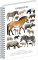 NOTIQUE Spiralnotizbuch Animalium – Paarhufer, kariert, A5