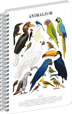 NOTIQUE Spiralnotizbuch Animalium – Vögel, klar, A5 - Reklamnepredmety