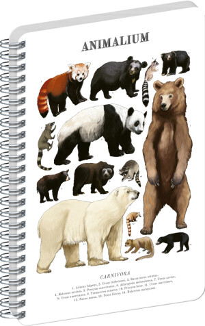 NOTIQUE Spiralnotizbuch Animalium – Bären, klar, A5 - Reklamnepredmety