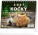 NOTIQUE Tischkalender Katzen - mit Katzennamen CZ 2027, 16,5 x 13 cm