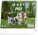 NOTIQUE Tischkalender Hunde – mit Hundenamen CZ 2027, 16,5 x 13 cm