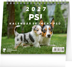 NOTIQUE Tischkalender Hunde – mit Hundenamen CZ 2027, 16,5 x 13 cm - Reklamnepredmety