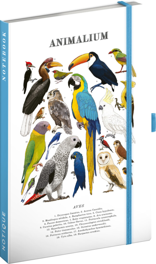 NOTIQUE Notes Animalium – Vögel, liniert, 13 x 21 cm
