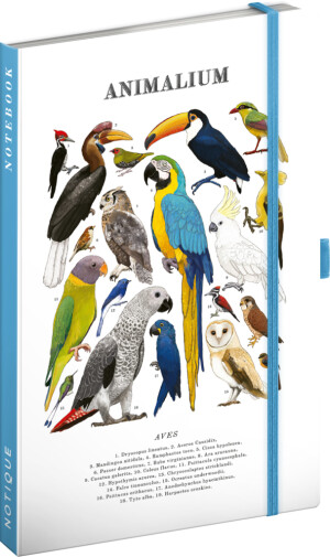 NOTIQUE Notes Animalium – Vögel, liniert, 13 x 21 cm - Reklamnepredmety
