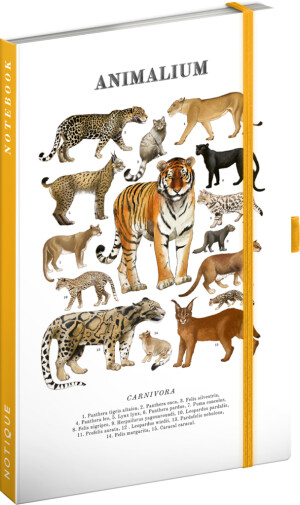 NOTIQUE Notes Animalium – Katzen, liniert, 13 x 21 cm - Reklamnepredmety