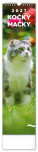 NOTIQUE Wandkalender Katzen CZ/SK 2027, 12 x 48 cm