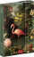 NOTIQUE Magnetic weekly planner Flamingo 2027, 11 x 16 cm - pgd-37237-z_tit - variant Pg PGD-37237-Z