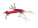Small R. Taschenmesser "Small R."
