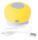 Rariax - AP741915-02 - variant Ap 741915-02