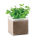 MINT - MO9546_13 - variant Mo MO9546-13