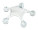 Starfish - 56-0402356 - variant In 56-0402356
