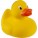 Ente in der Badewanne