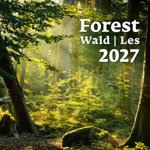 Kalender Wald