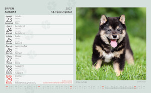 Kalender Welpen