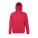 AMSTERDAM. Herren Sweatshirt, mit Reißverschluss und Kapuze - 30161-105-d-kopia - variant 