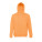 AMSTERDAM. Herren Sweatshirt, mit Reißverschluss und Kapuze - 30161-178-d-kopia - variant 
