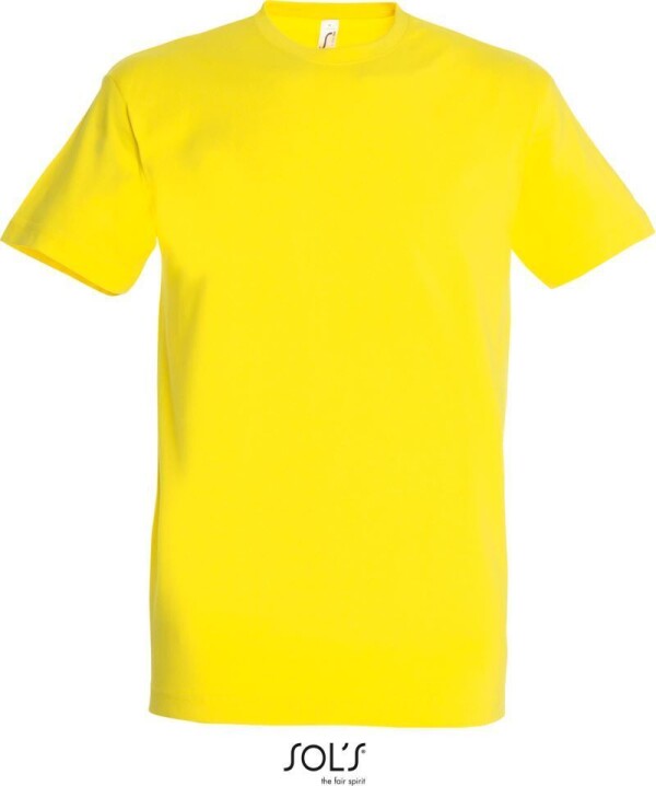 Heavy T-Shirt