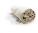 Hamam "Sultan" Handtuch - 5692C7C5-DB0D-48D4-AEB2-01DD8093DF0A - variant CC 481019e5899