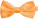 Fliege - 3F9EA17F-0453-440C-B4F5-E2169B425031 - variant CC 76BTIE20099