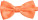 Fliege - 41F978C1-9573-487E-9DD1-9DB5034BBB5F - variant CC 76BTIE23599