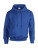 Heavy Blend Hooded Sweat - 290-09-300 - variant Fr 290093005