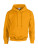 Heavy Blend Hooded Sweat - 290-09-643 - variant Fr 290096437
