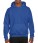 DryBlend Adult Hooded Sweat - 276-09-300-f-2017-01jpg-l - variant 