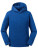 Z265K Kids Authentic Hooded Sweat - Z265K_Bright-Royal - variant Ls 1000294912