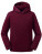Z265K Kids Authentic Hooded Sweat - Z265K_Burgundy - variant Ls 1000294906