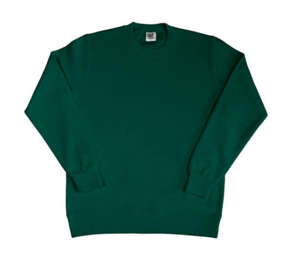 Ladies` Sweatshirt